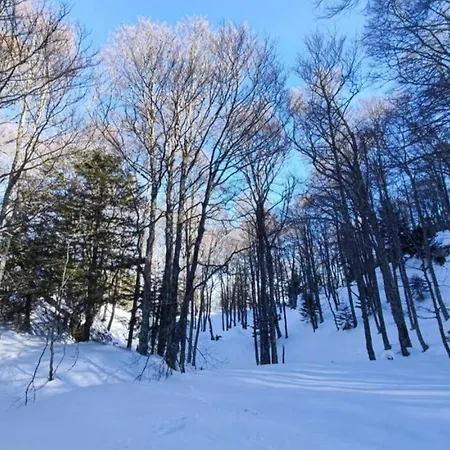 Διαμέρισμα Mailh- Massibe 1 5 Pers Draps Serviettes Inclus Parking Pres Du Confort *